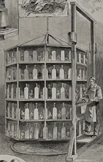 Black And White Bird Images Prints: Artificial hatching of hen eggs by the Baker method - supply of bait for layer chicks