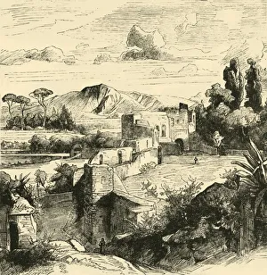 The Aurelian Wall Print, 1890