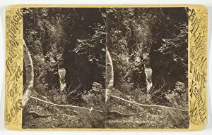 Adirondack Mountains Collection: Ausable Chasm - Mystic Gorge, late 19th century. Creator: Baldwin Photo