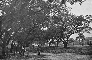 Avenida de Tiradentes, 1895. Artist: Paulo Kowalsky Avenida de Tiradentes, 1895. Artist: Paulo Kowalsky