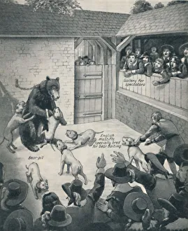 Bear-Baiting in a Stuart Bear Pit, c1934 Print