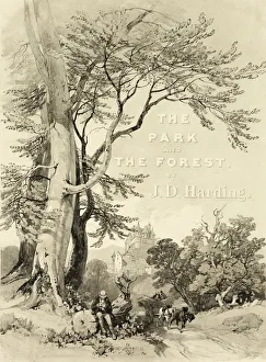 Prints of Beech and Oak (Frontispiece), from The Park and the Forest, 1841 James Duffield Harding Prints: Beech and Oak Print, The Park and the Forest, 1841