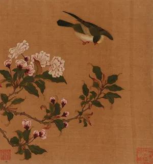 Images Dated 20th August 2021: Qing Dynasty Bird Print, 18th Century