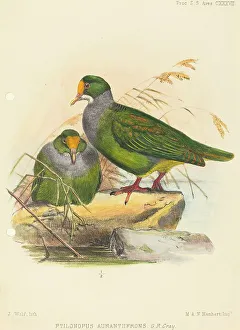 Two Birds Print