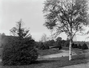 Black And White Bridge Images Prints: A Bit of Forest Park, Springfield, Mass. between 1910 and 1920. Creator: Unknown