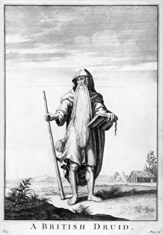 A British Druid Print