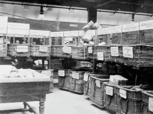 British Parcels Post Sorting Print, c1910-1915