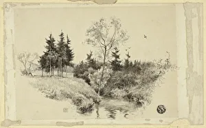 Nineteenth Century Geographical Features Prints: Brook in Forest, n. d. Creator: Unknown