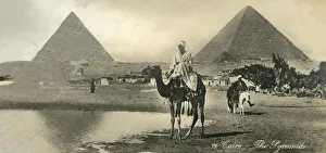 Cairo: The Pyramids, c1918-c1939 Print from Postcard Album