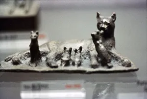 Cat and Kittens