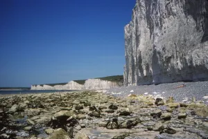 Birling Gap Beach Prints: Chalk Cliffs and Beach, looking West, Birling Gap, Sussex, 20th century. Artist: CM Dixon