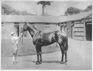 British Sportsmen 1911 Prints: Chandon, 1911