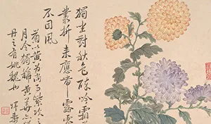Chrysanthemum Flowers Prints: Chrysanthemums. Creator: Unknown