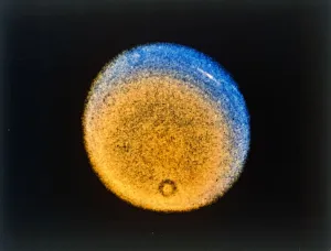 Voyager 2 Print: Uranus Upper Atmosphere Clouds, c1986