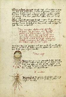 Comet Print circa 1464
