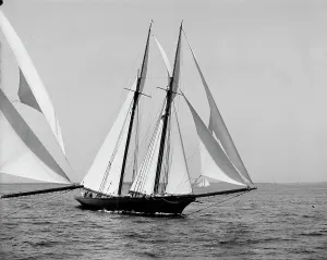 Black And White Sailing Pictures Prints: Constellation, 1900 Aug 10. Creator: Unknown