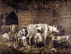 English Countryside Life Prints: The Cowshed