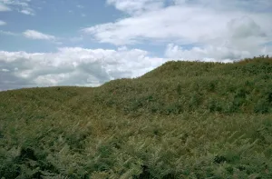 Iron Age Hillfort Prints: Cranbrook Castle