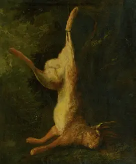 Heritage Animal Artwork Prints: Dead Hare, before 1760. Creator: Unknown
