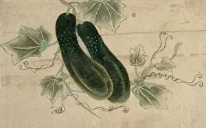 Asian Art Prints: Two dill cucumbers, (unknown date). Creator: Unknown