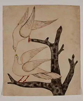 Doves Print, circa 1820