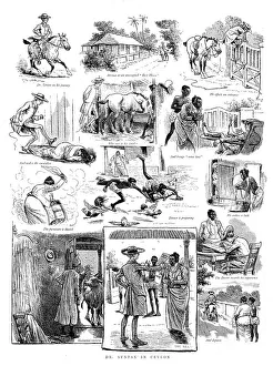 British Rural Life Prints: Dr. Syntax in Ceylon, 1890. Creator: Unknown