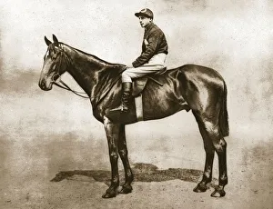 Drumcree, 1911 Print: Portrait of the Grand National Winner
