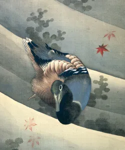 Duck Swimming in Water, 1847. Artist: Hokusai Duck Swimming in Water, 1847. Artist: Hokusai