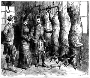 Duke of Fifes game larder, 1881. Artist: G Durand Duke of Fifes game larder, 1881. Artist: G Durand