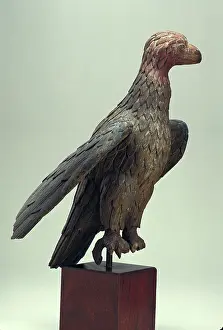 American Bird Of Prey Prints: Eagle, 19th century. Creator: Unknown