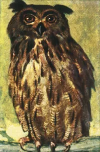 Cigarette Card Album Prints: Eagle owl, c1928. Creator: Unknown