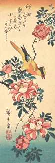 Eastern Grey Wagtail and Rose, early 1830s., early 1830s. Creator: Ando Hiroshige Eastern Grey Wagtail and Rose, early 1830s., early 1830s. Creator: Ando Hiroshige