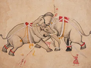Indian Heritage Art Prints: Elephant Combat, c1725. Creator: Unknown