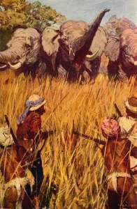 Vintage Elephant Illustrations Prints: Elephants in Chase, c1850 (c1912)