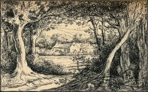 Woodland Scenery Prints: The End of the Glade, Epping Forest, c1900. Artist: Selwyn Image