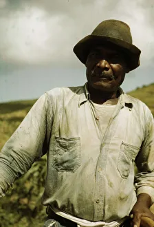 Farm Security Administration Borrower Print, 1941, St. Croix