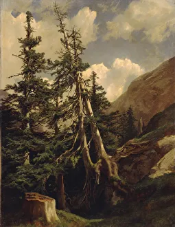 Oil On Canvas Realism Art Prints: Firs in the mountains