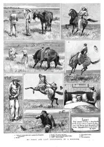 My First and Last Experience of a Broncho Print, 1891