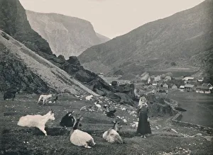 Norwegian Countryside Landscape Prints: Flaam, 1914. Creator: Unknown