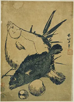 Japanese Heritage Woodblock Prints: Flatfish, scorpion fish, and shells, from an untitled series of chuban prints, Japan, c