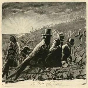 Black And White Illustrations USA Prints: The Flight of the Swallows, 1882. Creator: Unknown