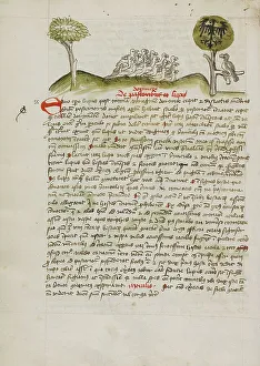 Christian Manuscript Art Prints: A Flock of Birds under a Tree including a Crowned Eagle with a