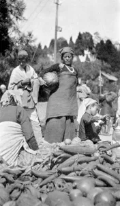 A food market in Darjeeling, West Bengal, India, c1910 A food market in Darjeeling, West Bengal, India, c1910
