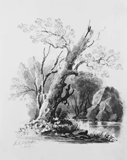 William Guy Wall Forest Grove Print