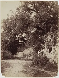 French Heritage Art Photography Prints: Forest Path, c1853. Creator: Eugene Cuvelier