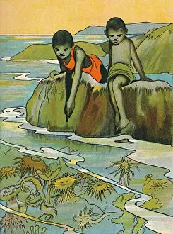 Alice Talwin Morris Collection: A Garden in the Sea, 1912. Artist: Charles Robinson