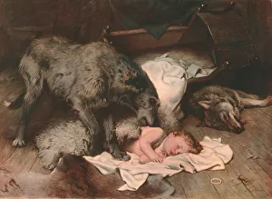 Prints of Gelert, c1894, (c1902). After a painting in the Reading Museum and Town Hall. Depiction of a Welsh legend in which the faithful Gelert saves a child from a wolf. From The Nations Pictures Wolf Prints: Gelert, a Welsh Legend: Colour Print of 1894