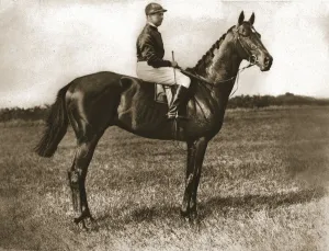 Georges Stern on Sunstar, 1911. Creator: Unknown Georges Stern on Sunstar, 1911. Creator: Unknown