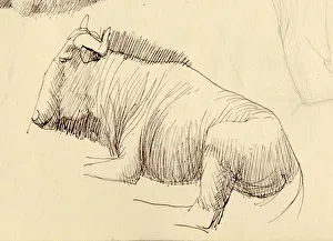 Shirley Markham Artwork Prints: Gnu, c1951. Creator: Shirley Markham