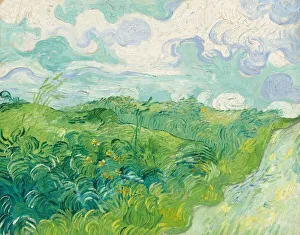 Green Wheat Fields, Auvers, 1890. Creator: Vincent van Gogh Green Wheat Fields, Auvers, 1890. Creator: Vincent van Gogh